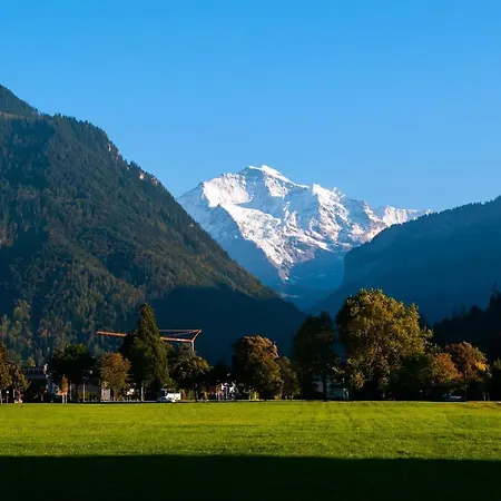 The Swiss Kiwi Chalet Terrace