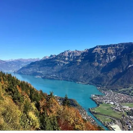 Апартаменты The Swiss Kiwi Chalet Terrace